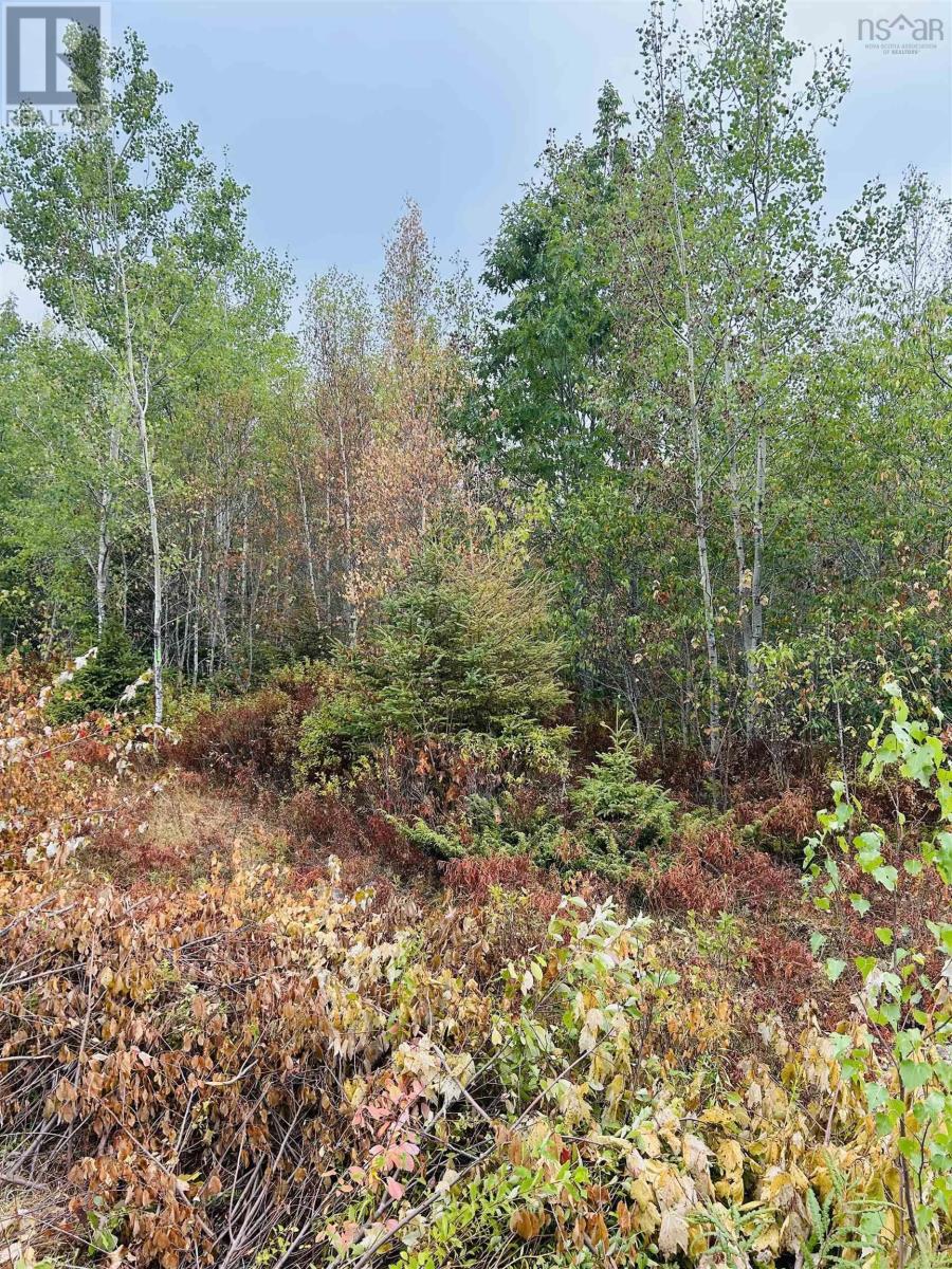 Property 13 of 15 of Lot Alpena Road