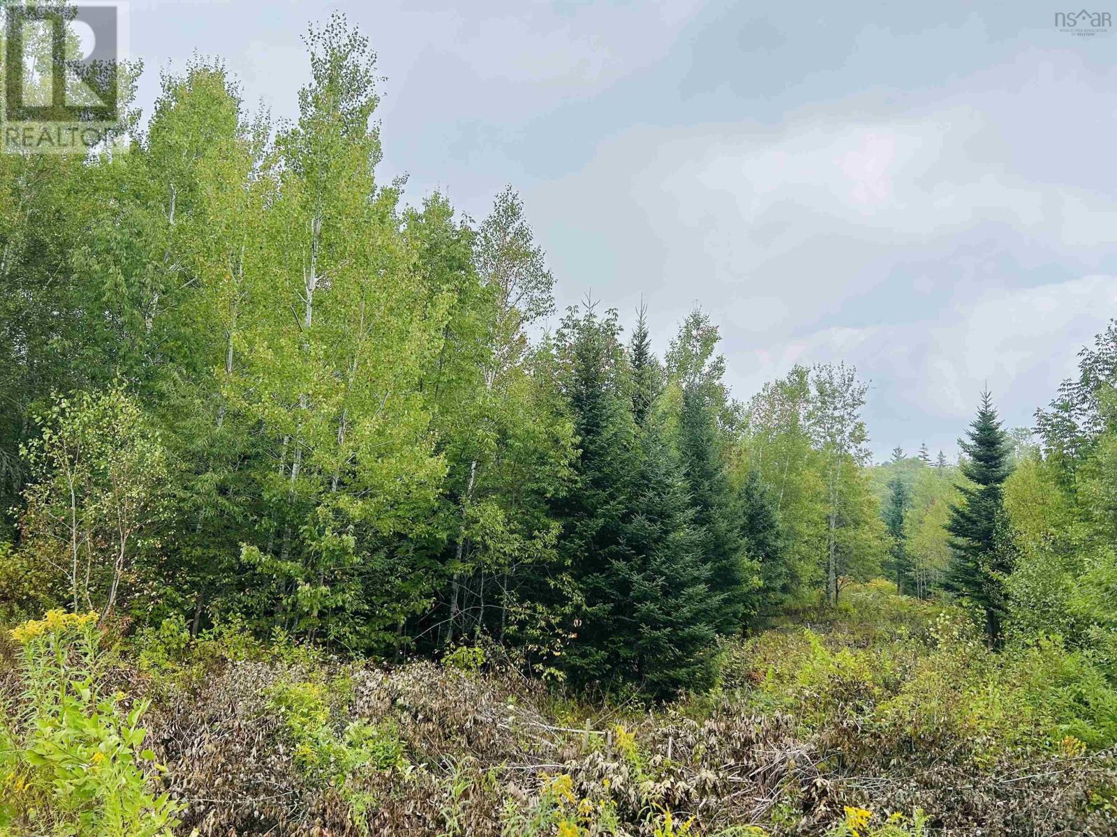 Property 3 of 15 of Lot Alpena Road