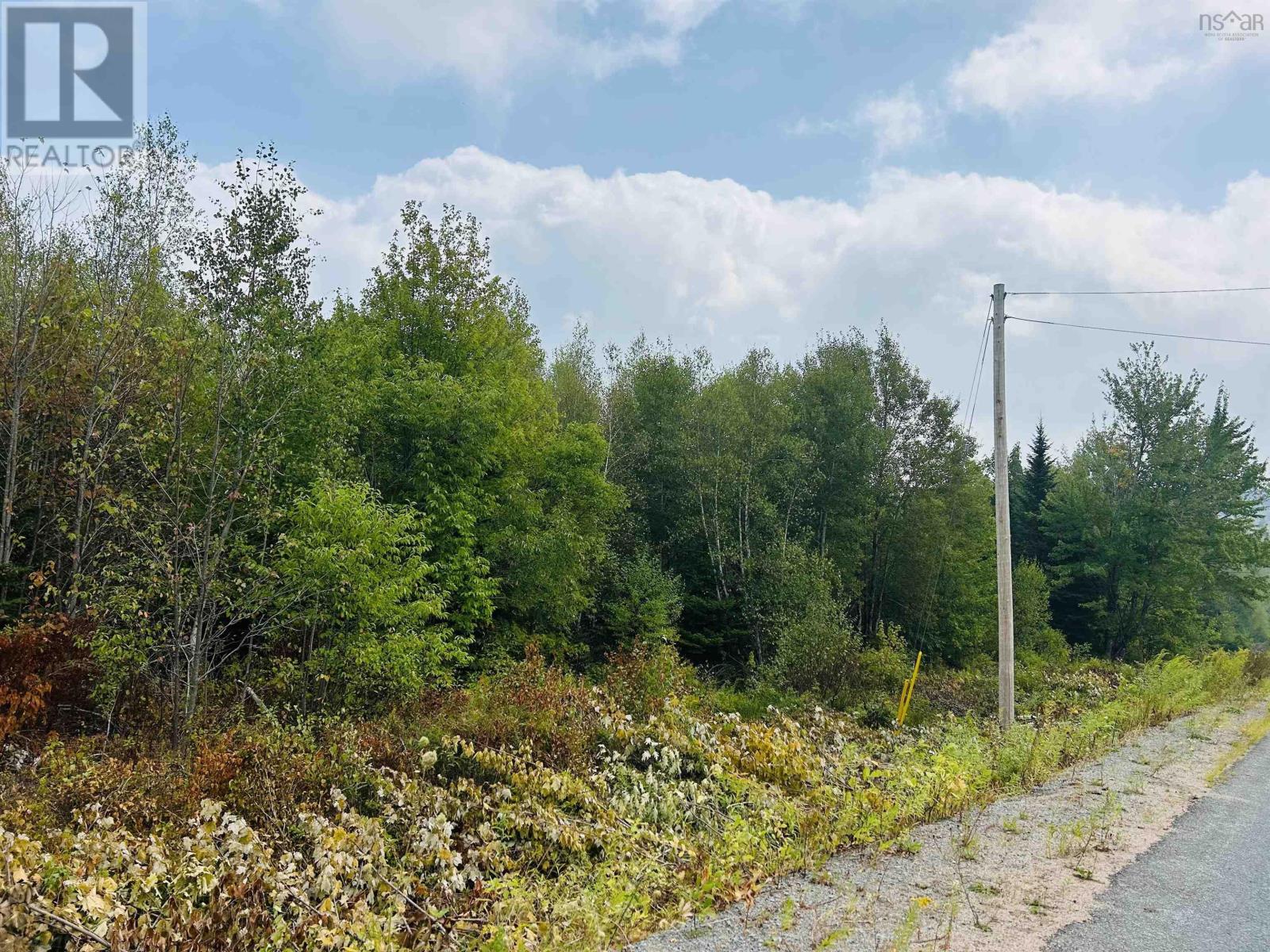 Property 6 of 15 of Lot Alpena Road