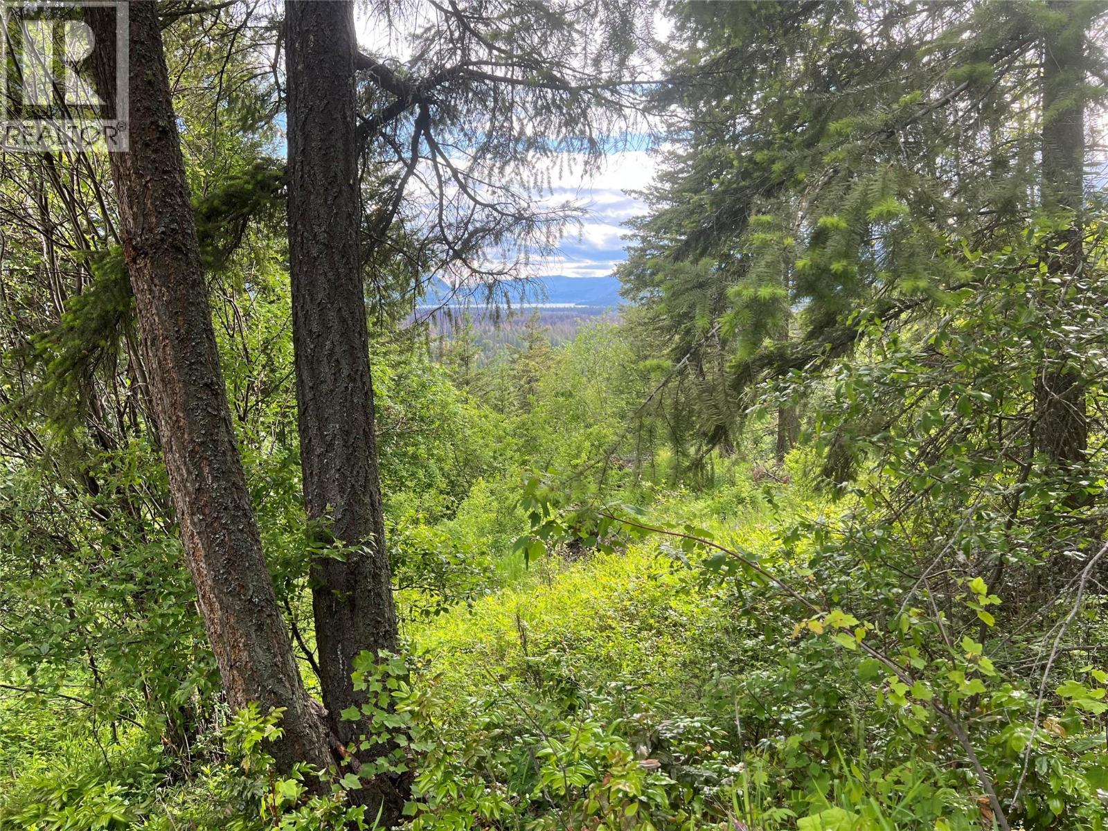 2481 SQUILAX ANGLEMONT ROAD LOT# 23 - 37