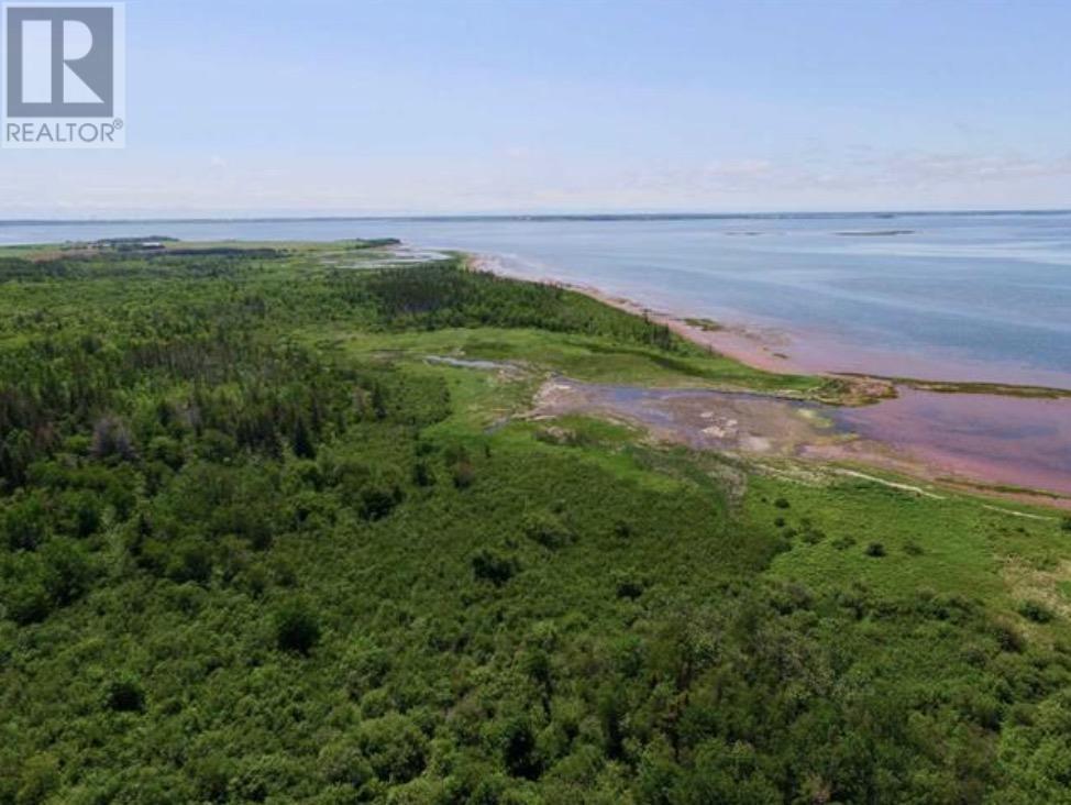 Acreage Little Marsh Road — photo 8