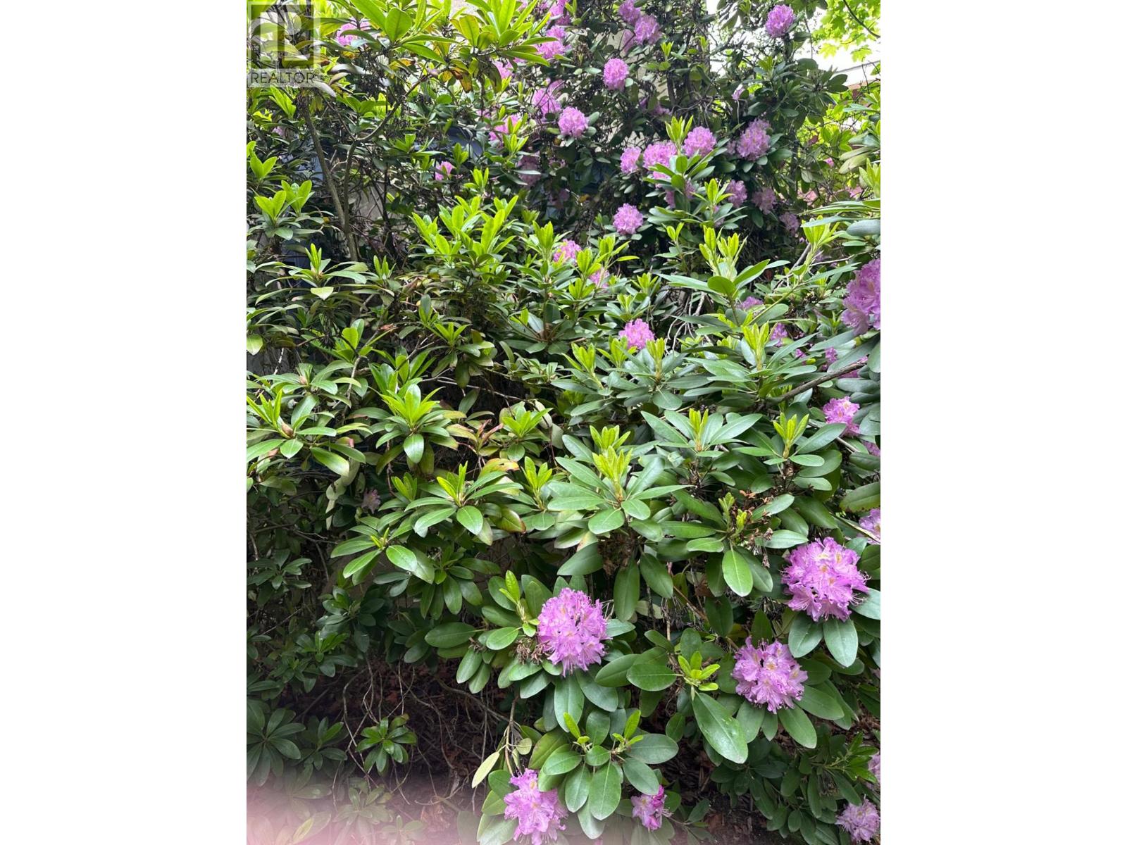  815 Baker Street, Nelson