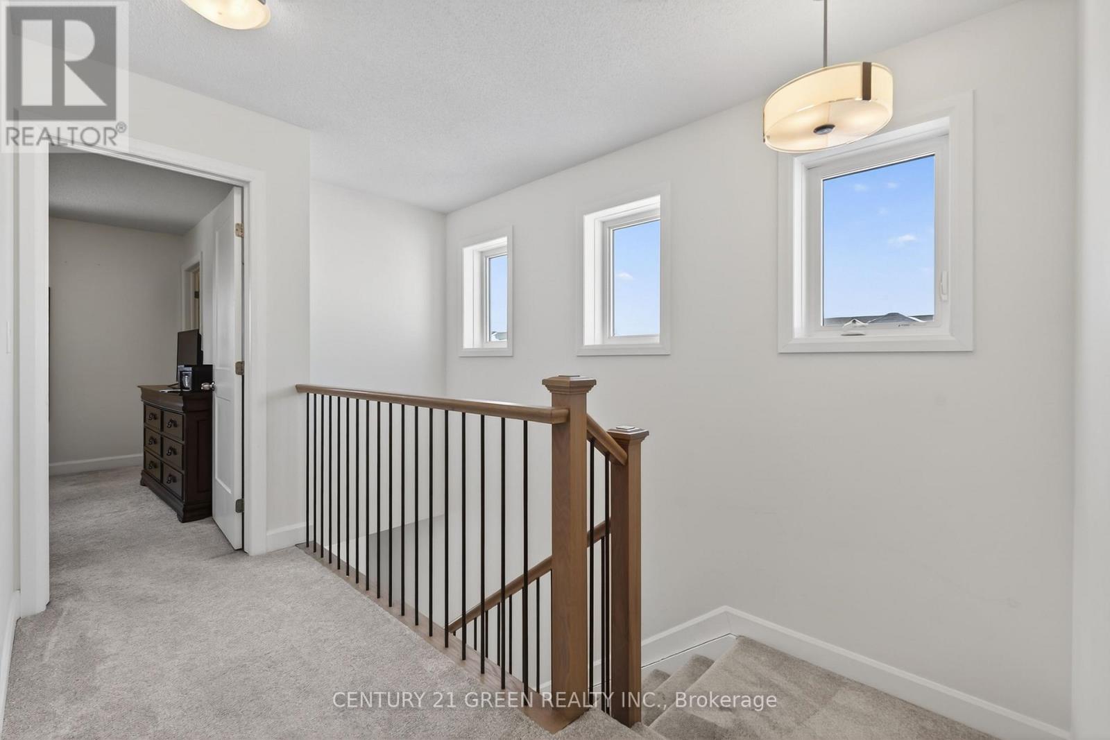 353 BUCKTHORN DRIVE - 19
