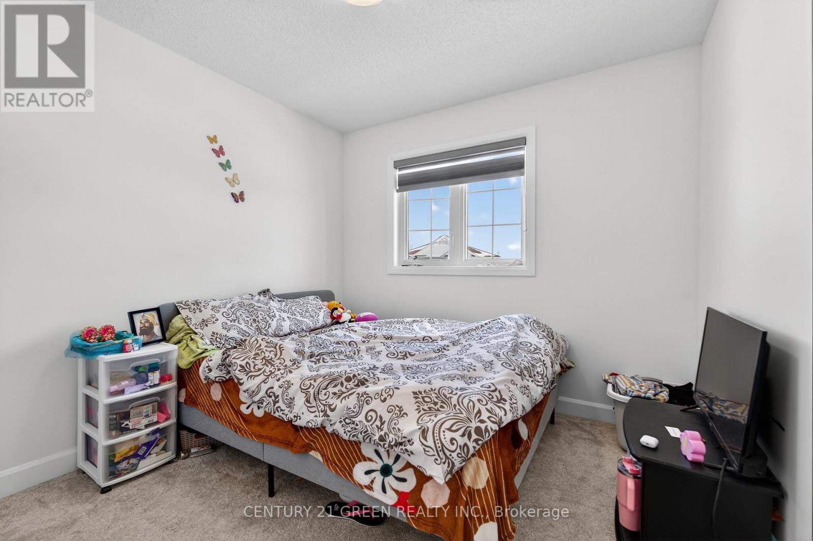 353 BUCKTHORN DRIVE - 21