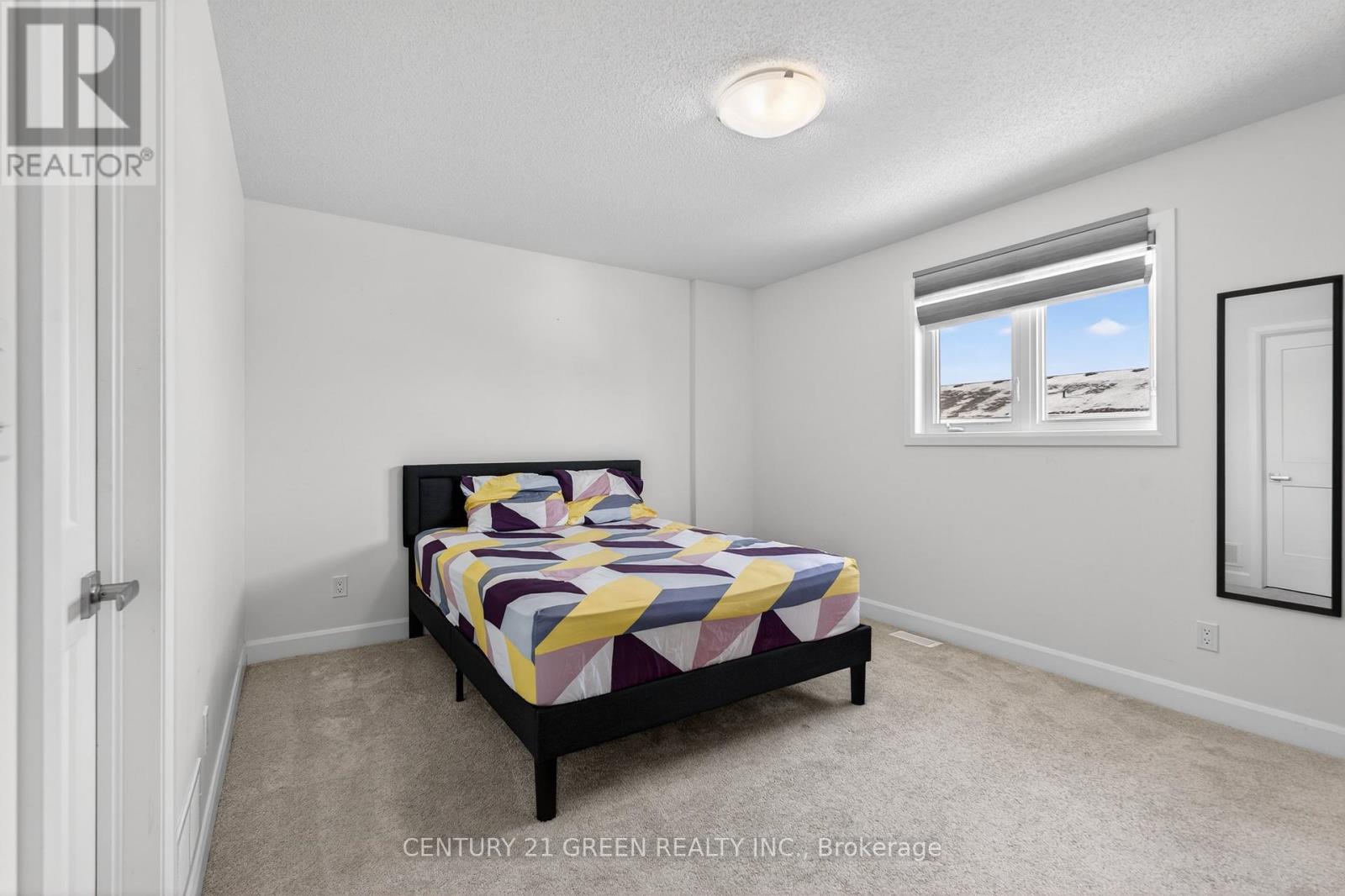 353 BUCKTHORN DRIVE - 24
