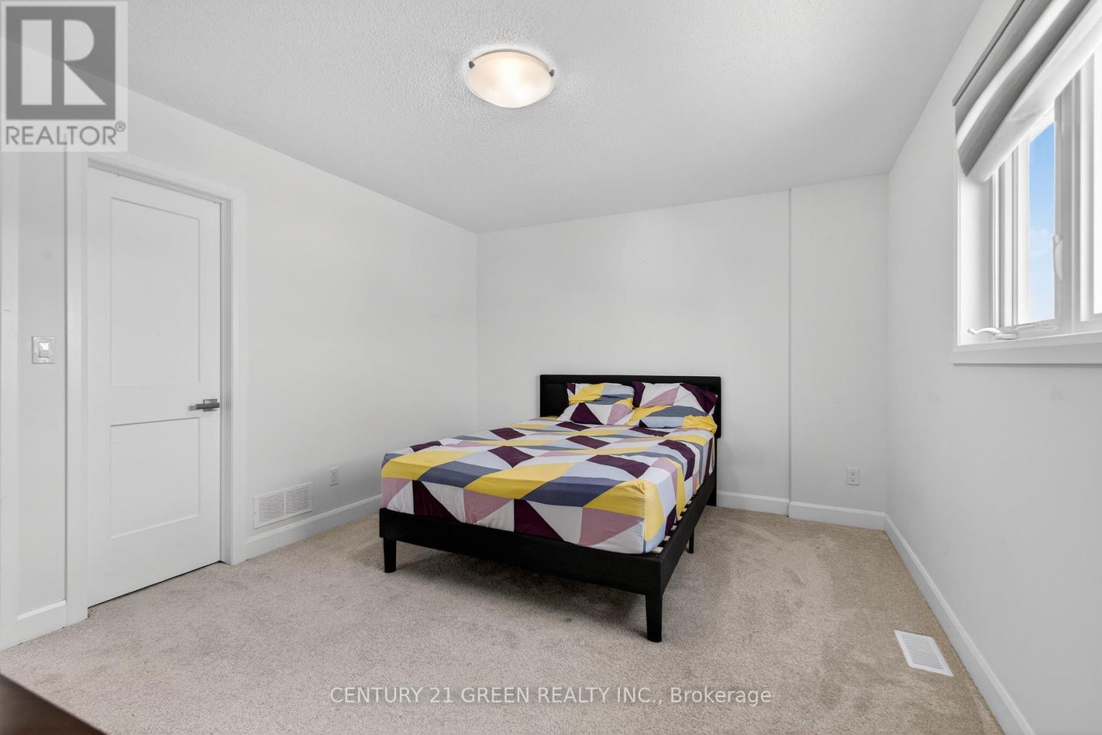 353 BUCKTHORN DRIVE - 20