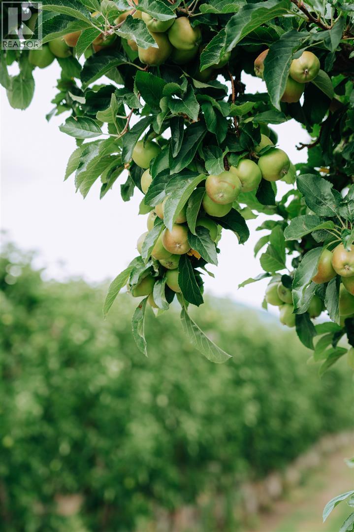  1731 Barcelo Road, Cawston