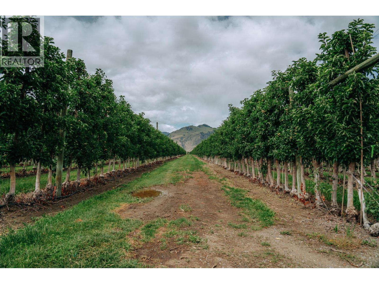  1731 Barcelo Road, Cawston