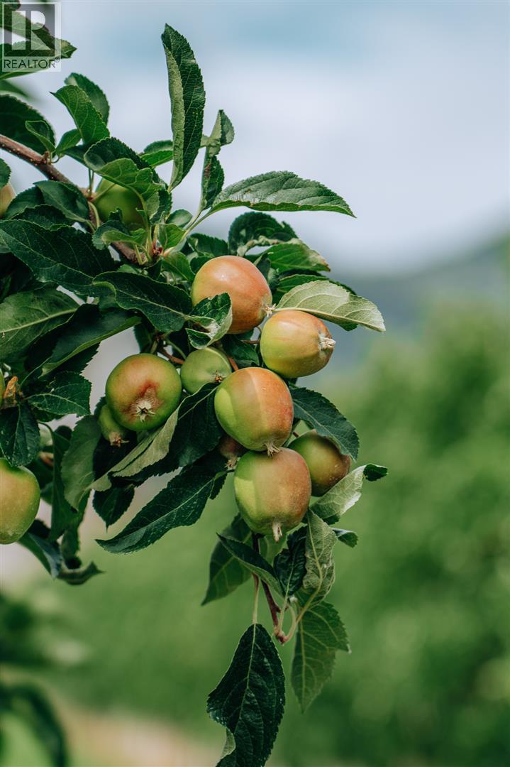  1731 Barcelo Road, Cawston