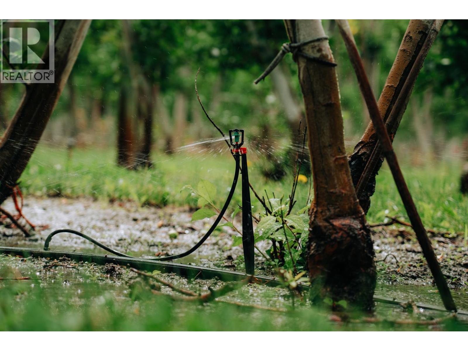  1731 Barcelo Road, Cawston