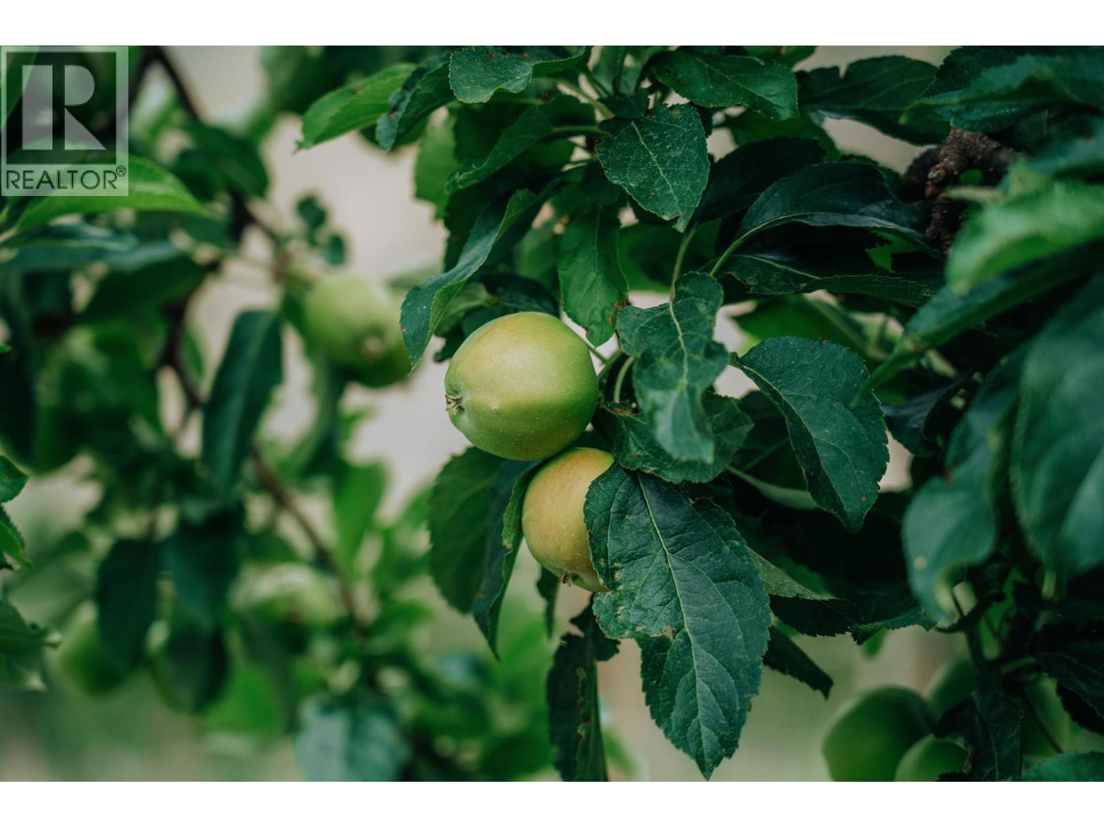  1731 Barcelo Road, Cawston