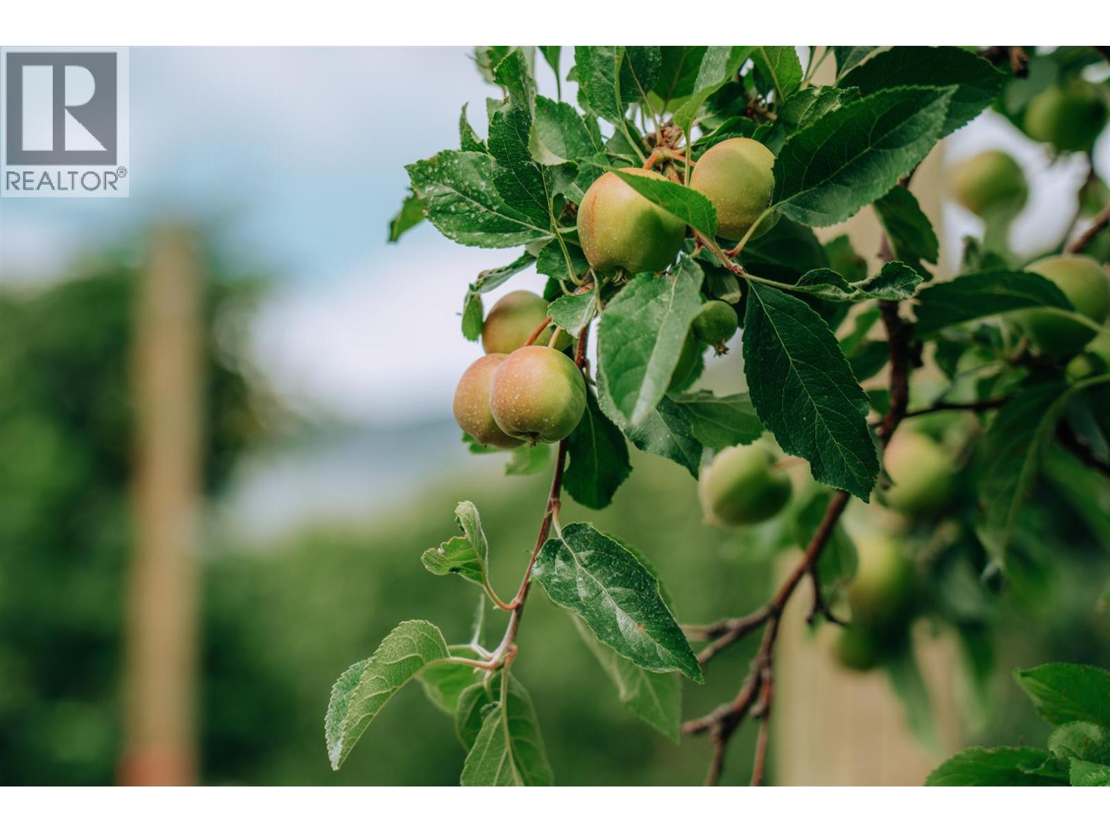  1731 Barcelo Road, Cawston