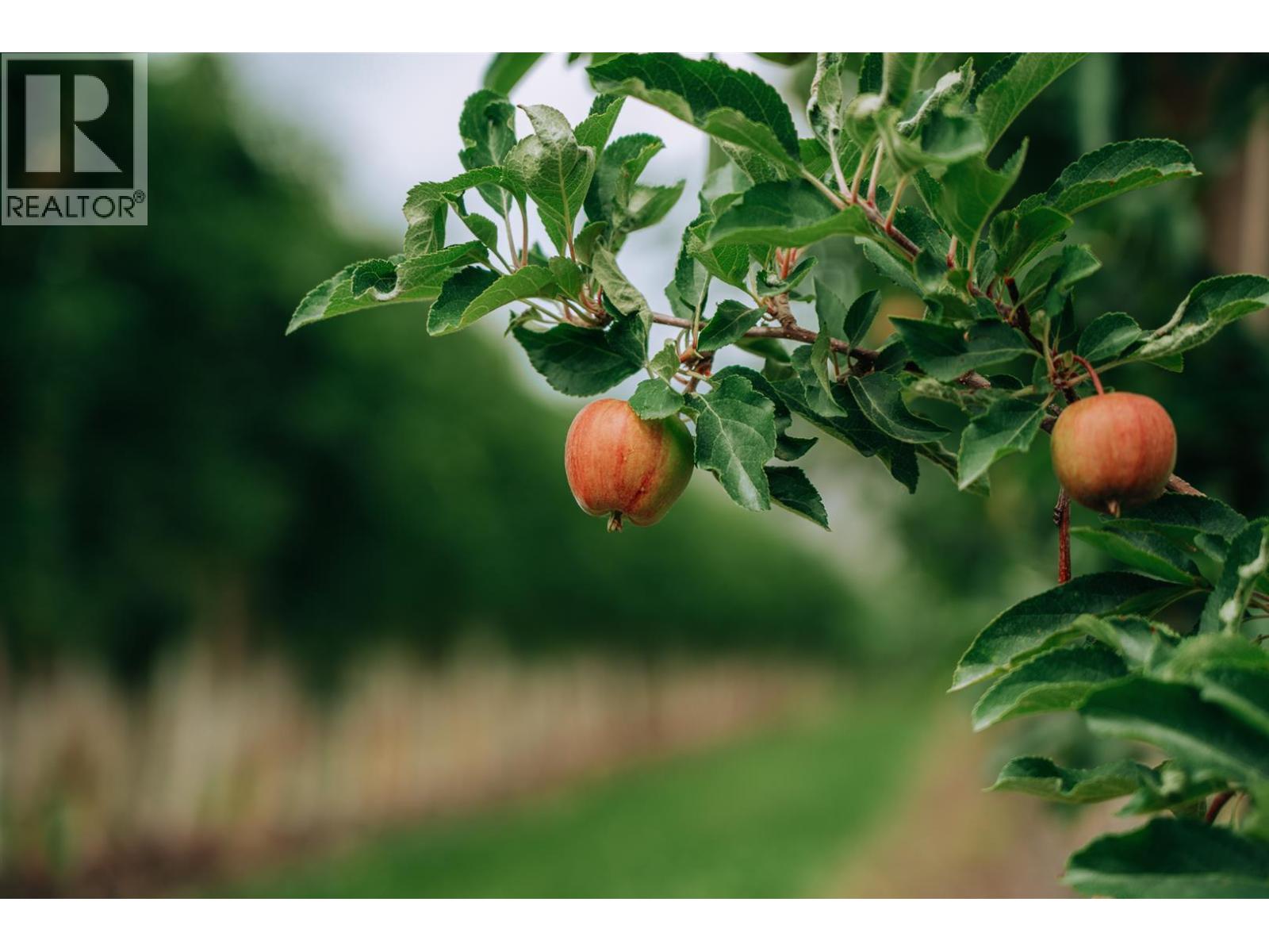  1731 Barcelo Road, Cawston