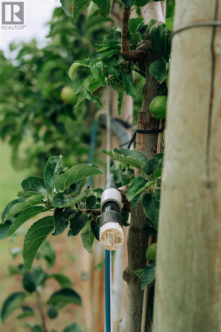  1731 Barcelo Road, Cawston