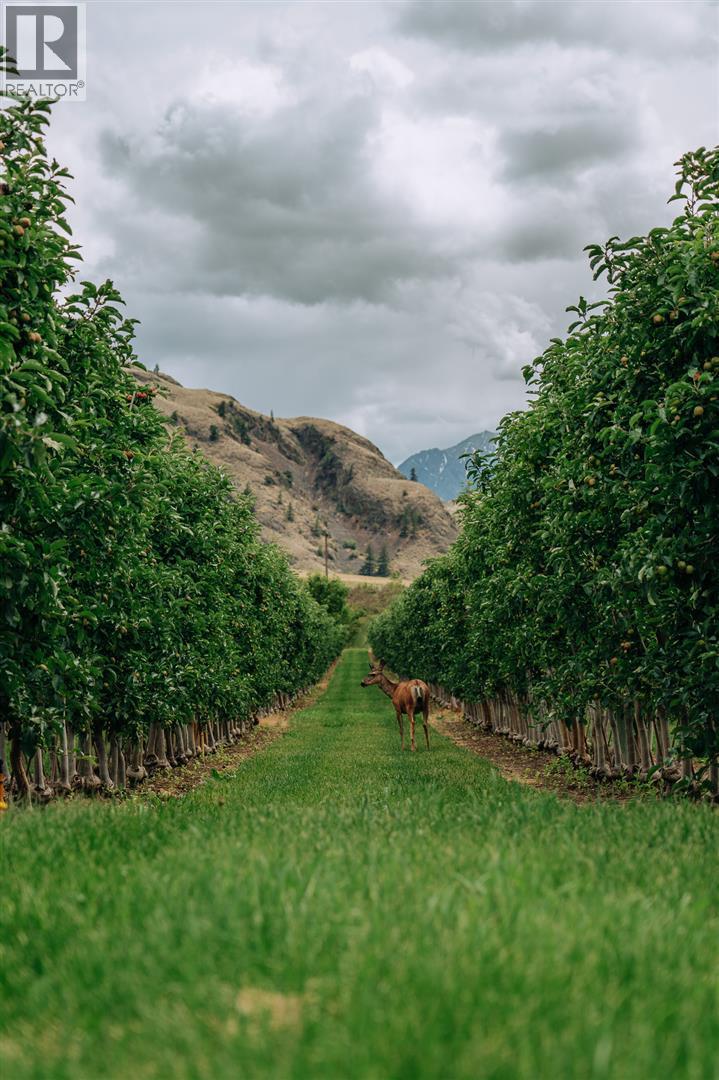  1731 Barcelo Road, Cawston