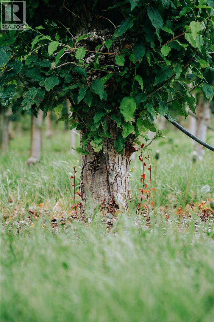  1731 Barcelo Road, Cawston