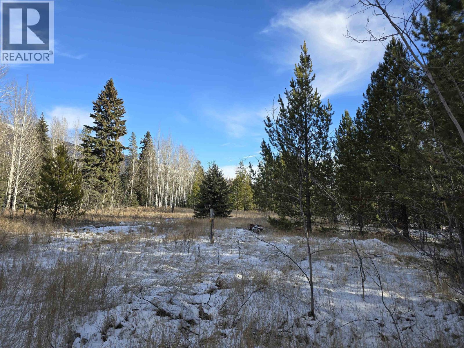 LOT 1 13TH AVENUE, Valemount