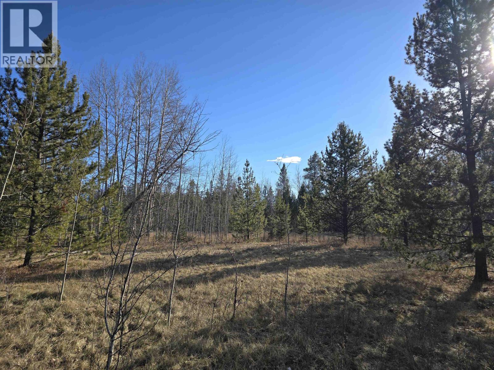 LOT 1 13TH AVENUE, Valemount