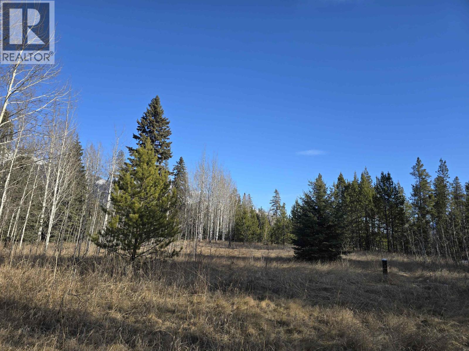 LOT 1 13TH AVENUE, Valemount