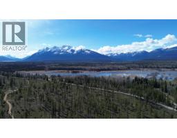Lot 1 13th Avenue, Valemount, BC V0E2Z0 Photo 6