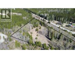 Lot 1 13th Avenue, Valemount, BC V0E2Z0 Photo 8