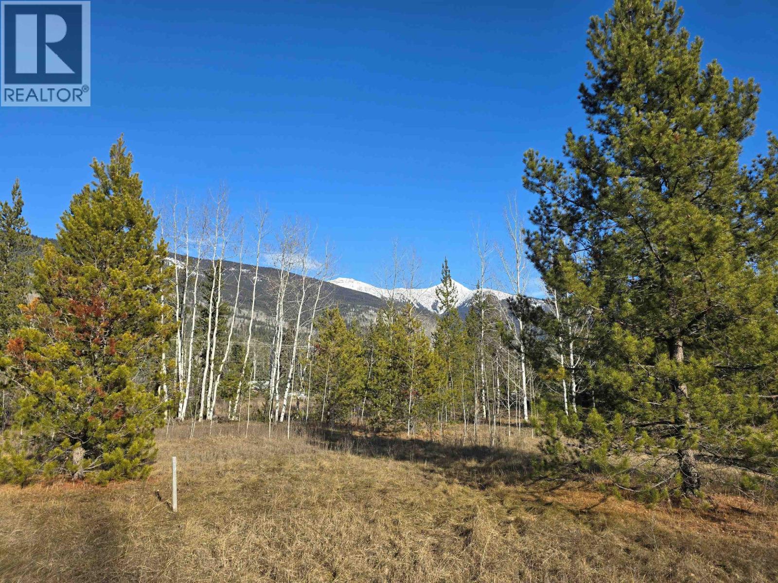 LOT 1 13TH AVENUE, Valemount