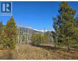 Lot 1 13th Avenue, Valemount, BC V0E2Z0 Photo 7