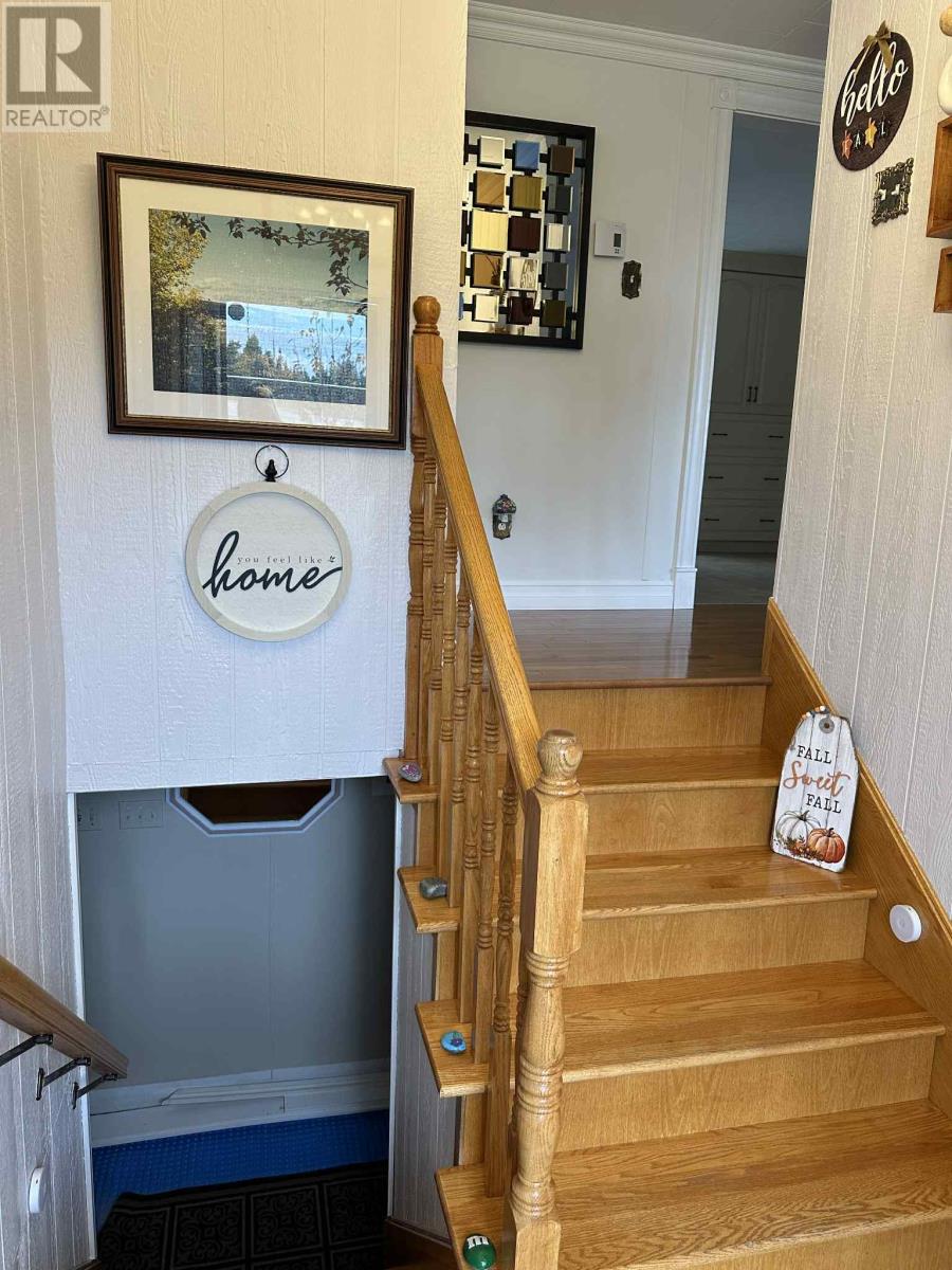 7 Earles Road - 7