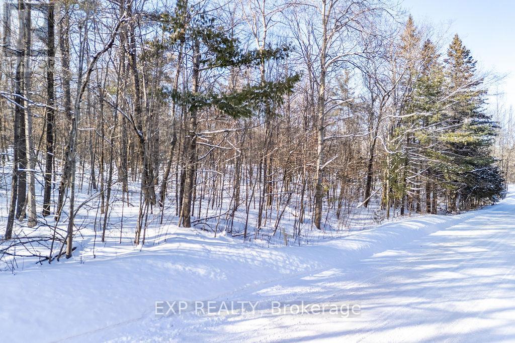 00 MINE VIEW ROAD — photo 25