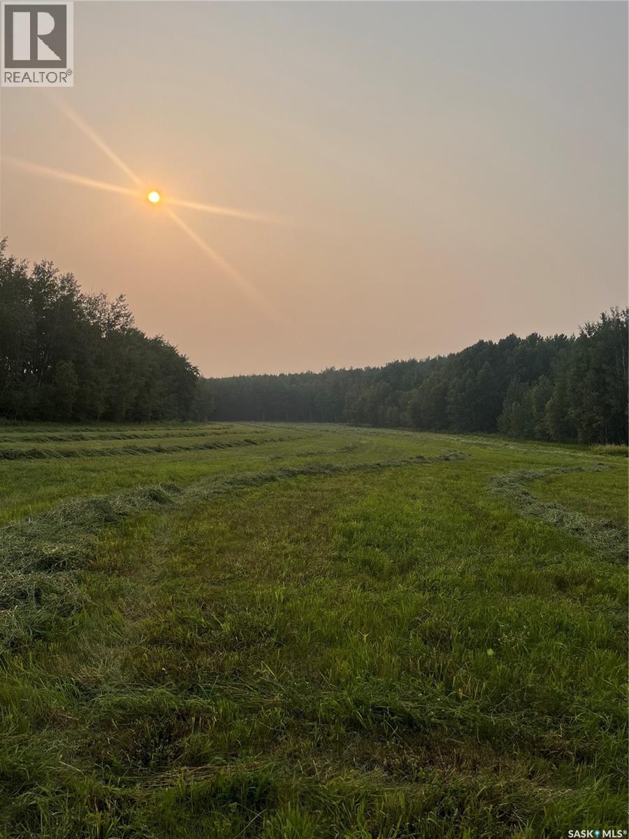 Tobin Lake Waterfront - Photo 5 of 8, Torch River Rm No. 488, Saskatchewan