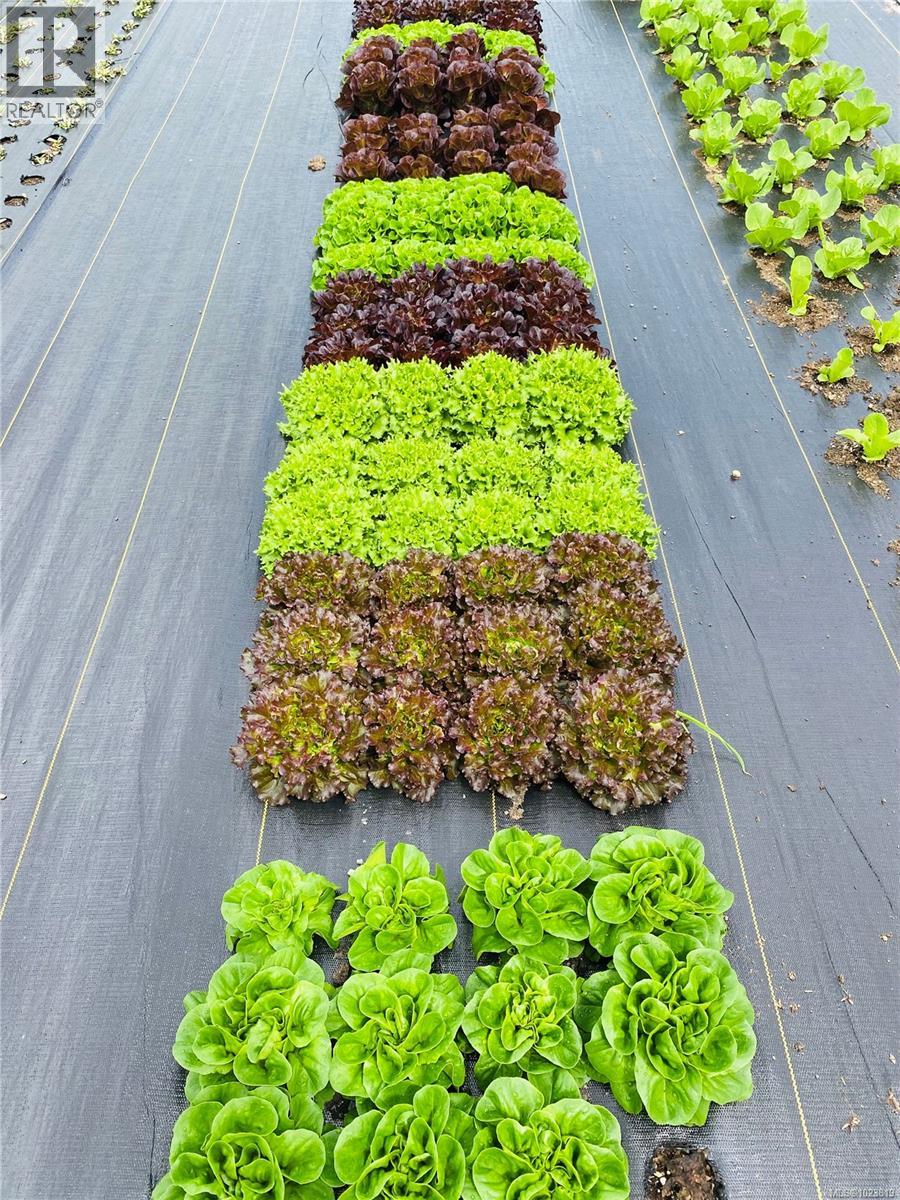 6499 FITZGERALD RD - 84