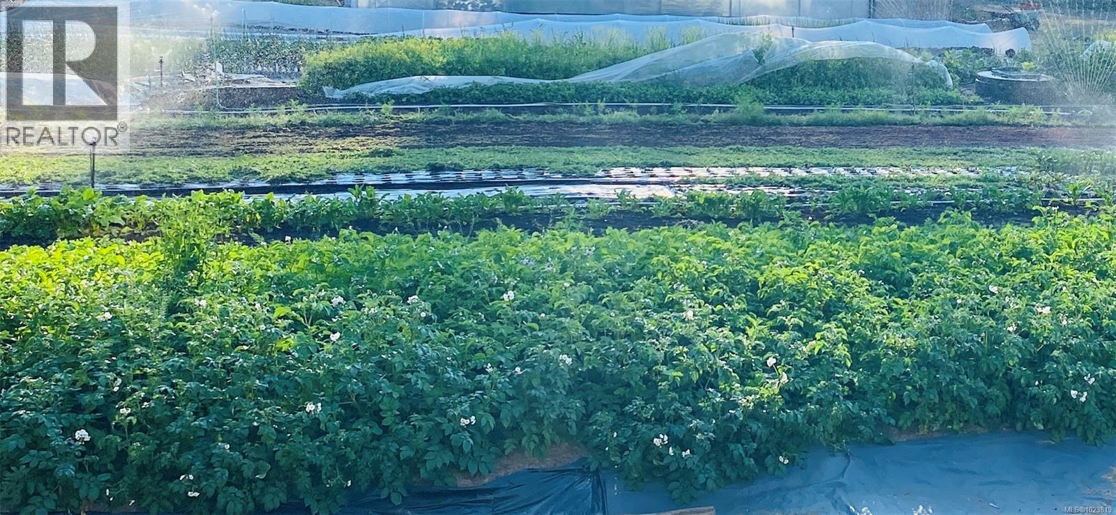 6499 FITZGERALD RD - 81