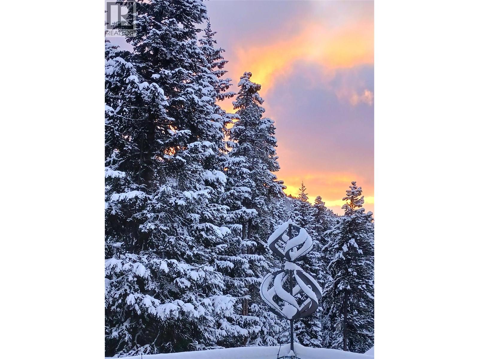 137 Whitetail Road Unit# 1, Apex Mountain