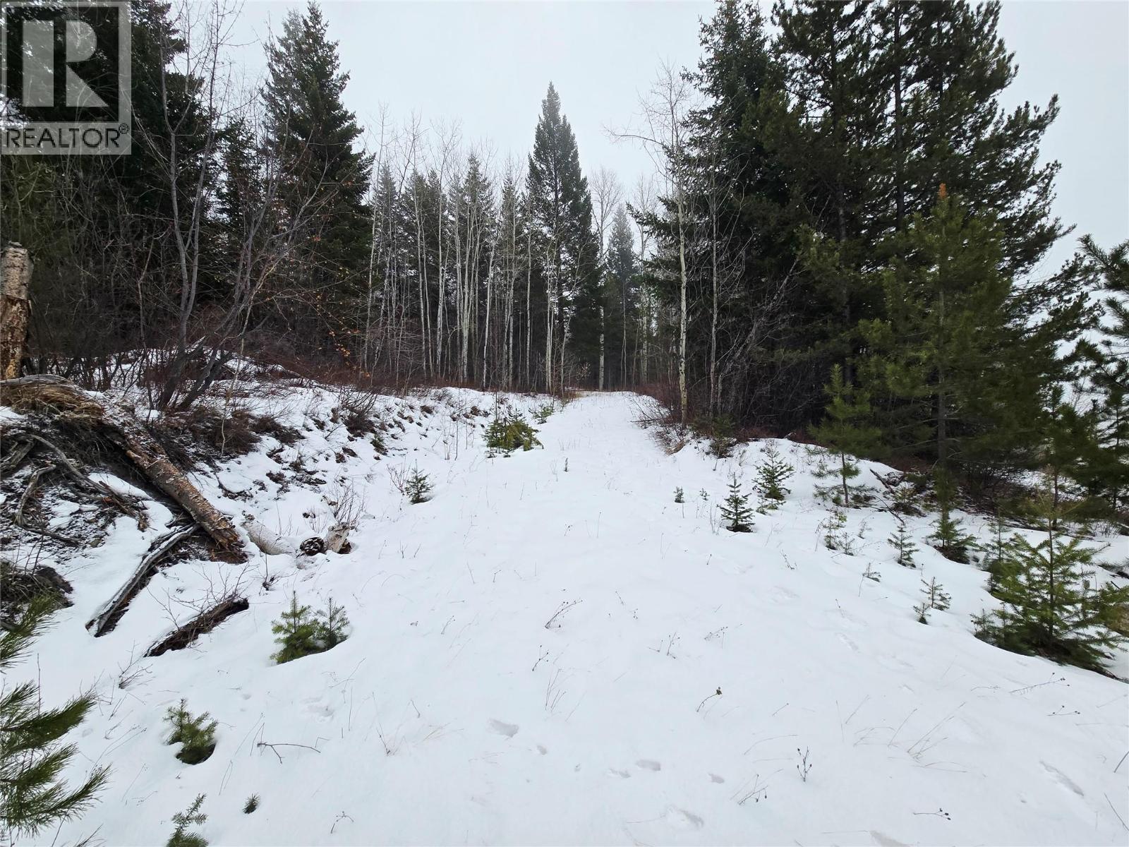 2780 SILVER BIRCH LANE - Image 3