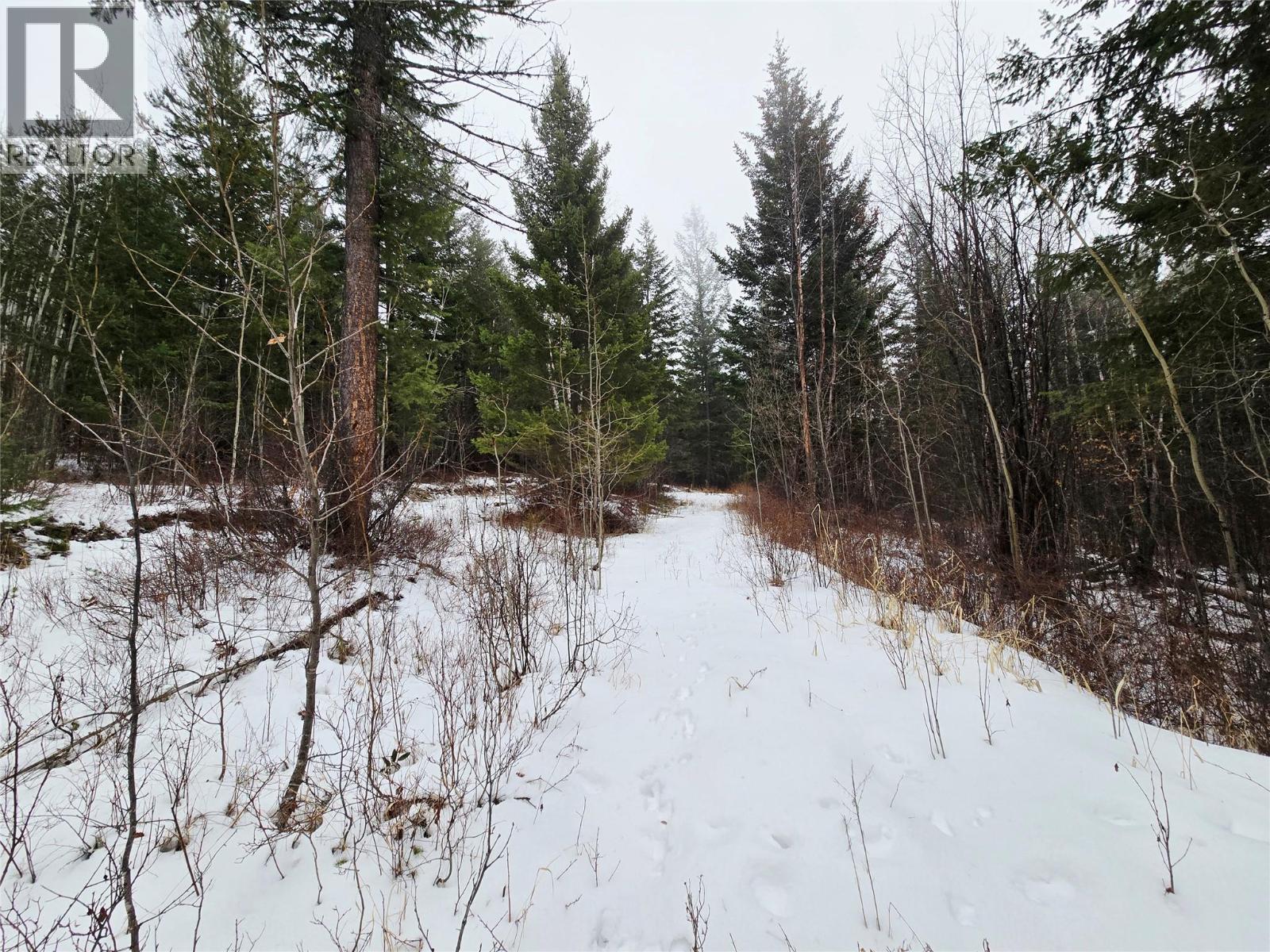 2780 SILVER BIRCH LANE - 7