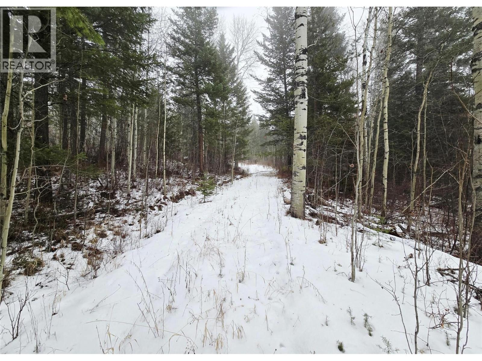 2780 SILVER BIRCH LANE - 6