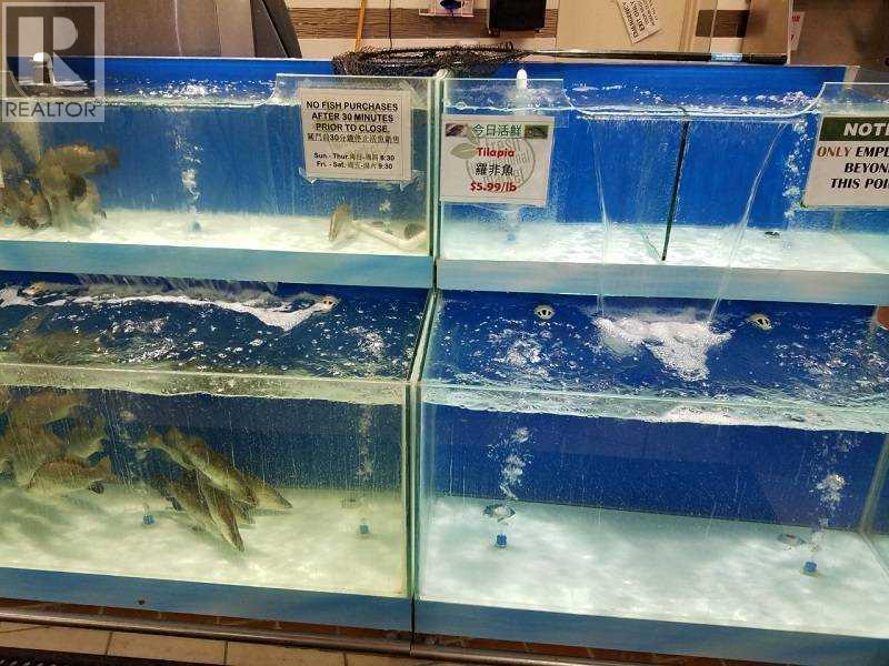 Business for Sale in  Any  NW Country Hills Village Calgary 