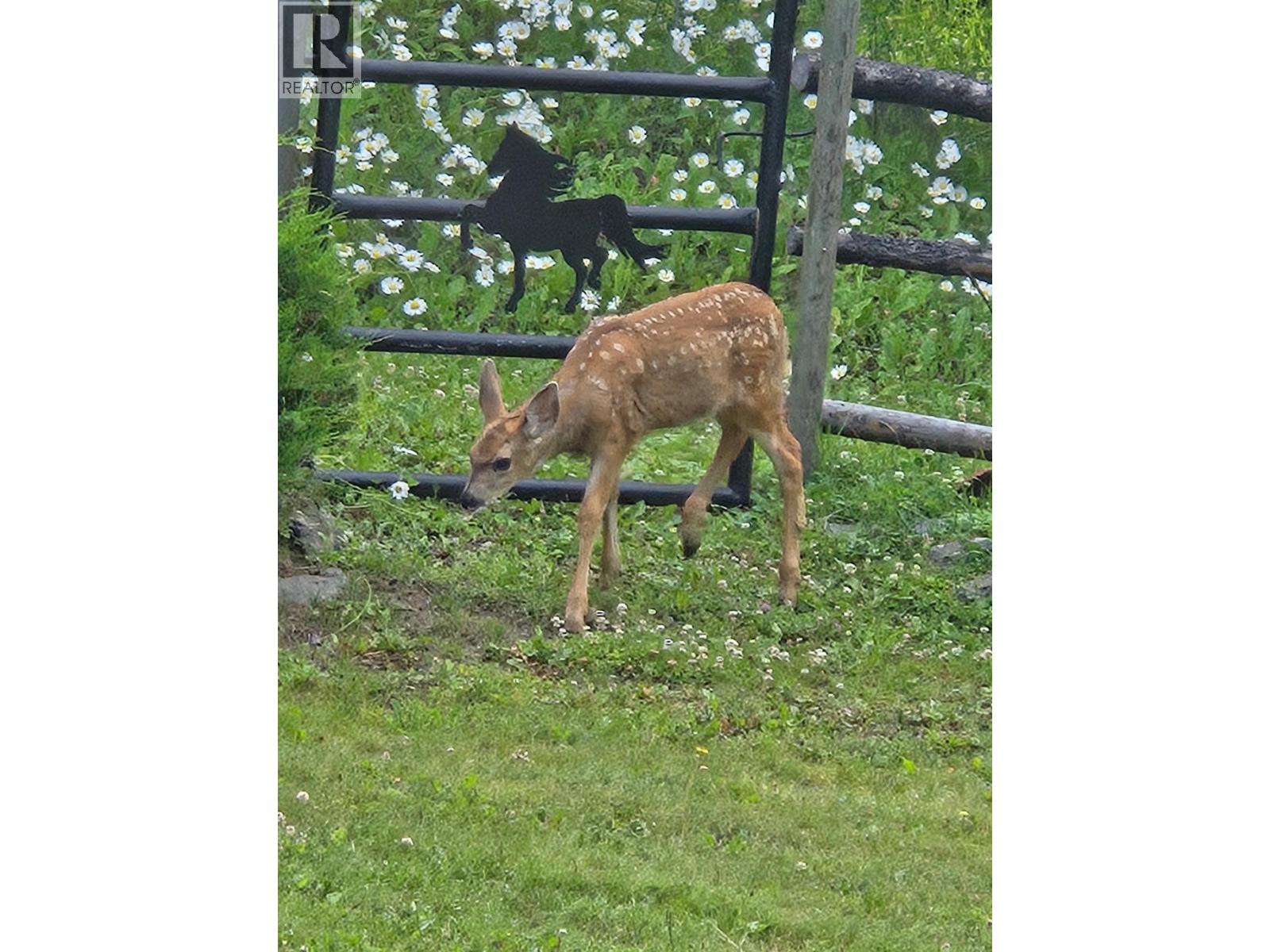 7671 RUTHERFORD ROAD, Bridge Lake