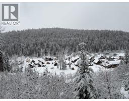 Main Street, Wells / Barkerville, BC V0K1B0 Photo 23