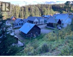 Main Street, Wells / Barkerville, BC V0K1B0 Photo 25