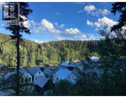 Main Street, Wells / Barkerville, BC V0K1B0 Photo 24