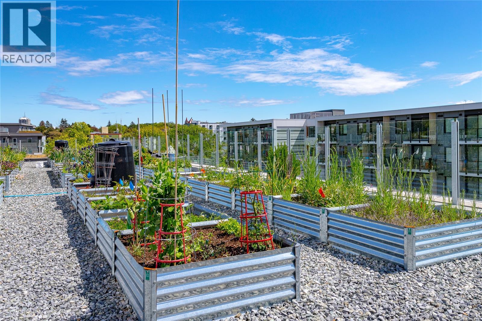 #N408 1105 PANDORA AVE - 27