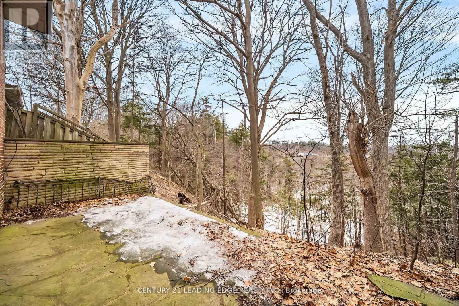 541 ROUGE HILLS DRIVE - 39