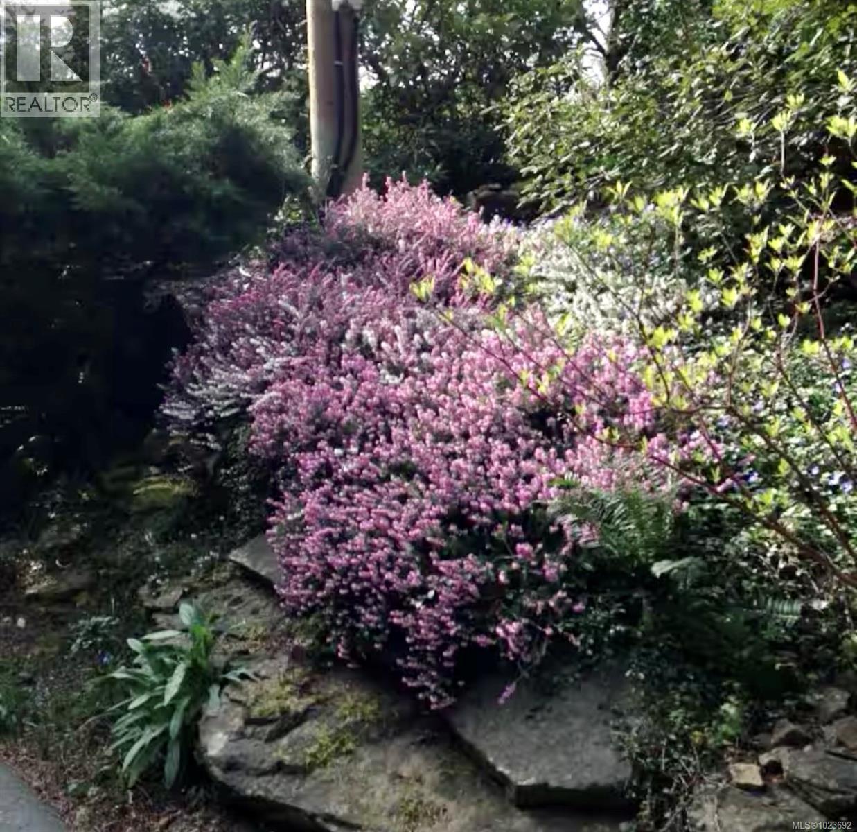 250 South Bank Dr, Salt Spring