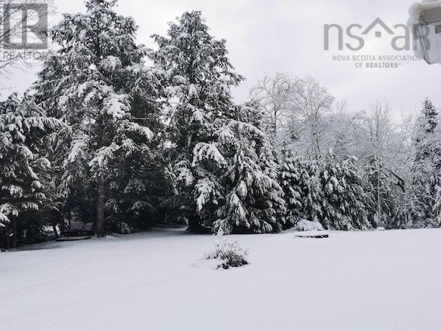 Property 46 of 49 of 788 Stewiacke River Park Road