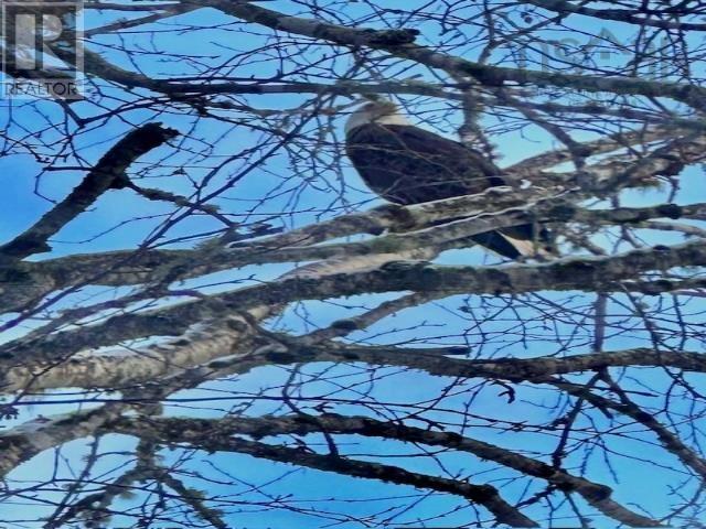 Property 49 of 49 of 788 Stewiacke River Park Road