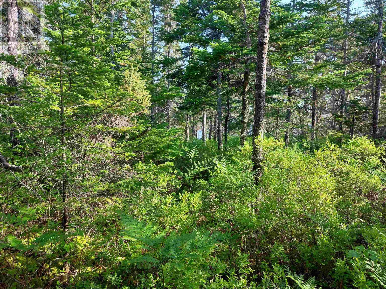 Property 10 of 15 of Lot 16 Walkerville Rd.