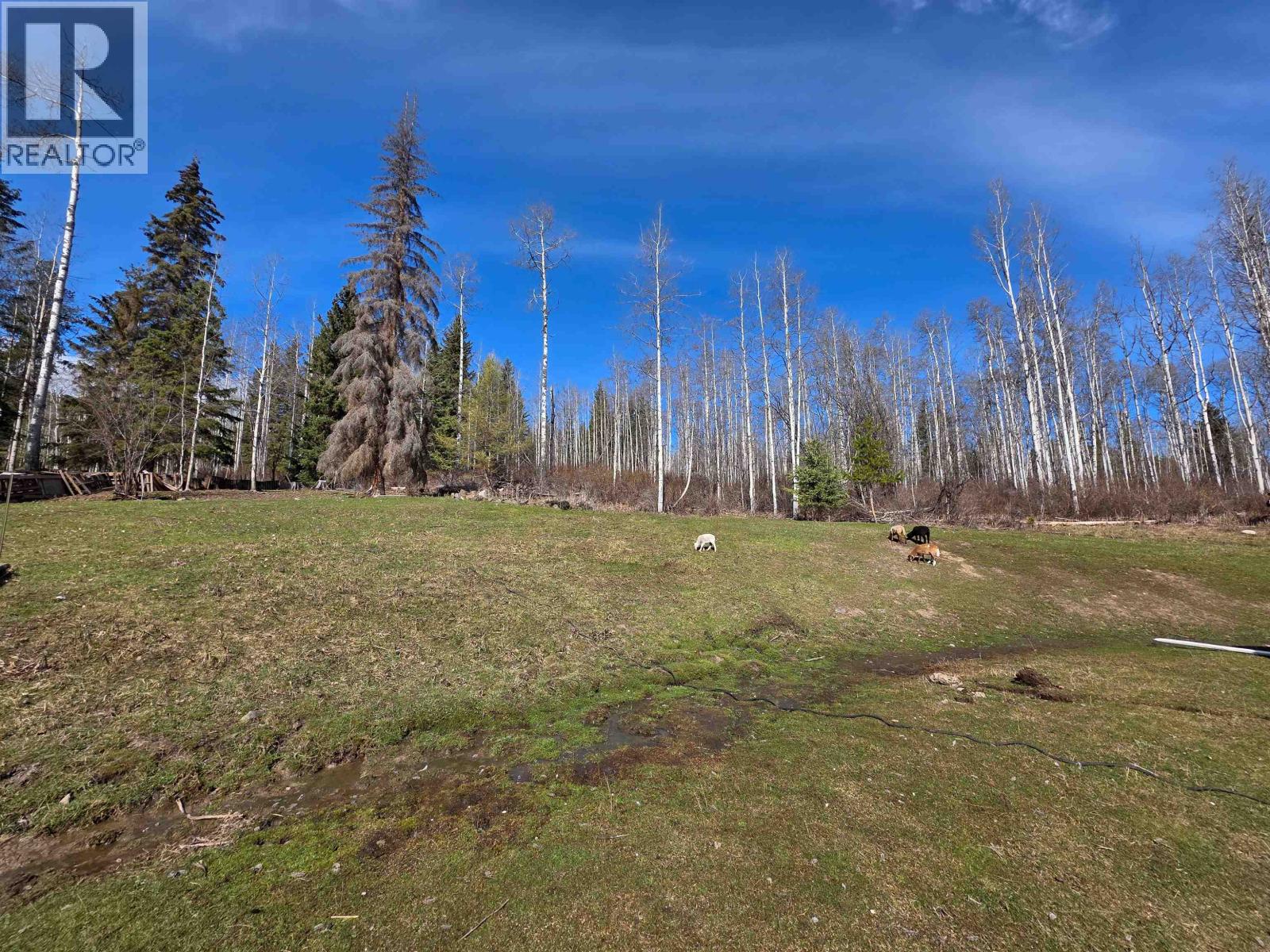 18715 GRANTHAM Road, Telkwa