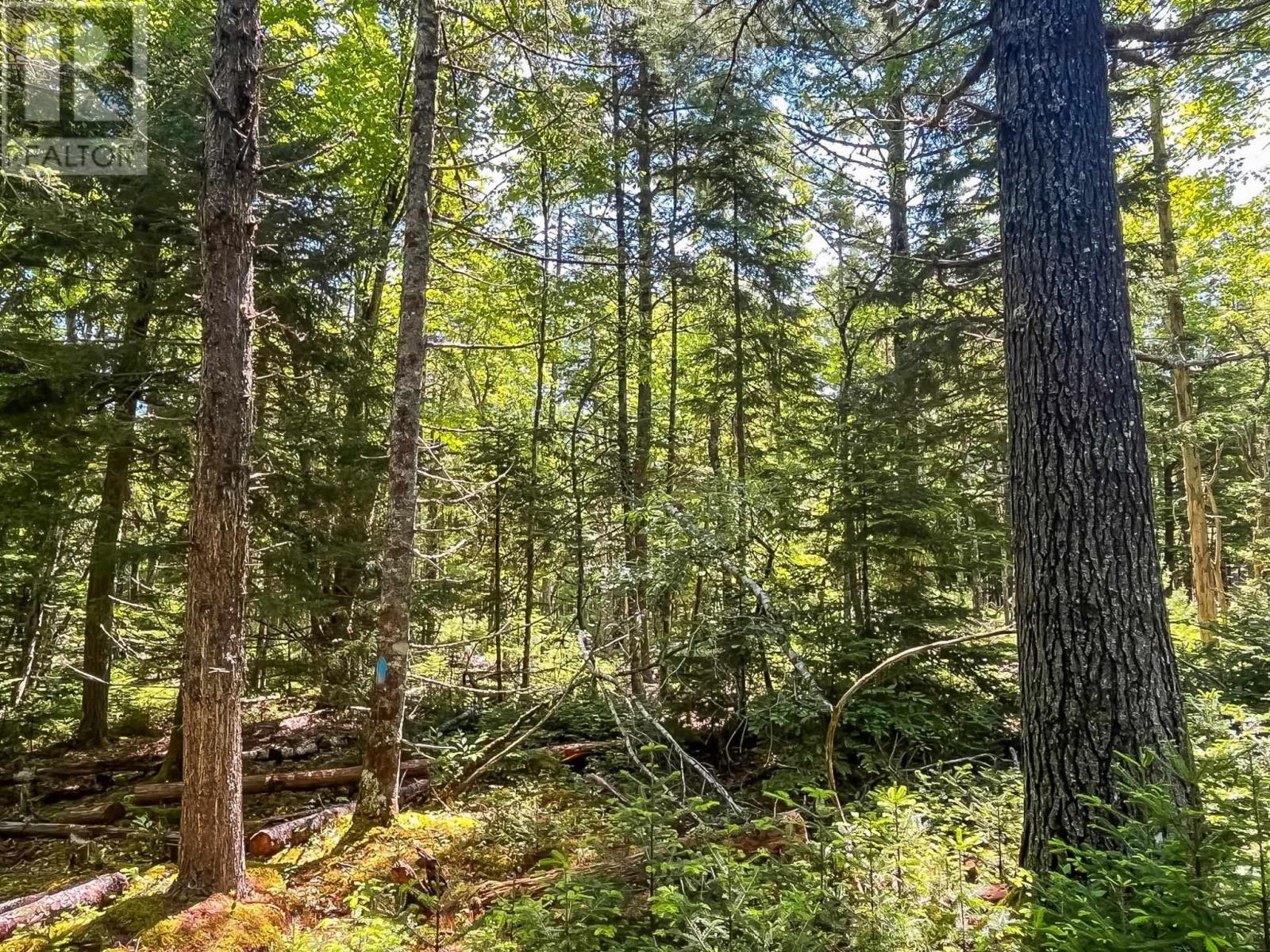 Property 3 of 12 of Lot 1000  Conquerall Road