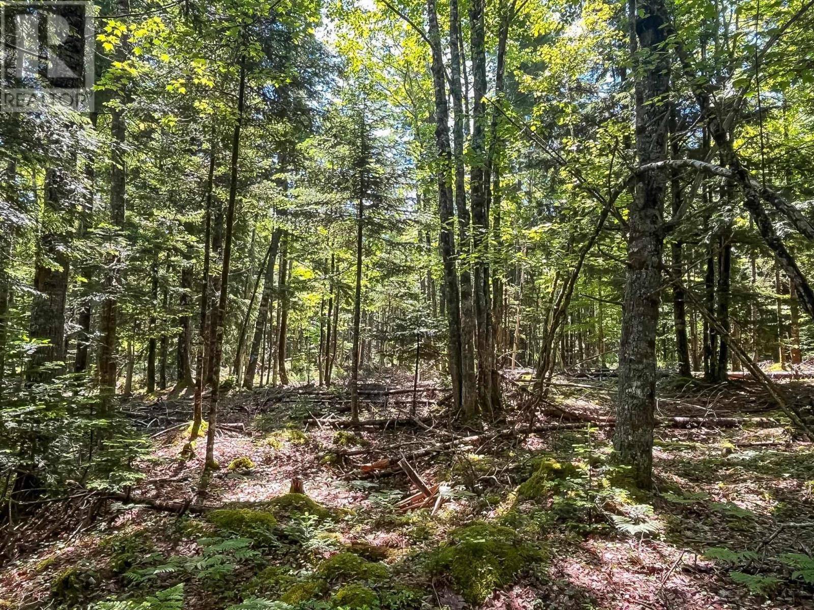 Property 2 of 12 of Lot 1000  Conquerall Road